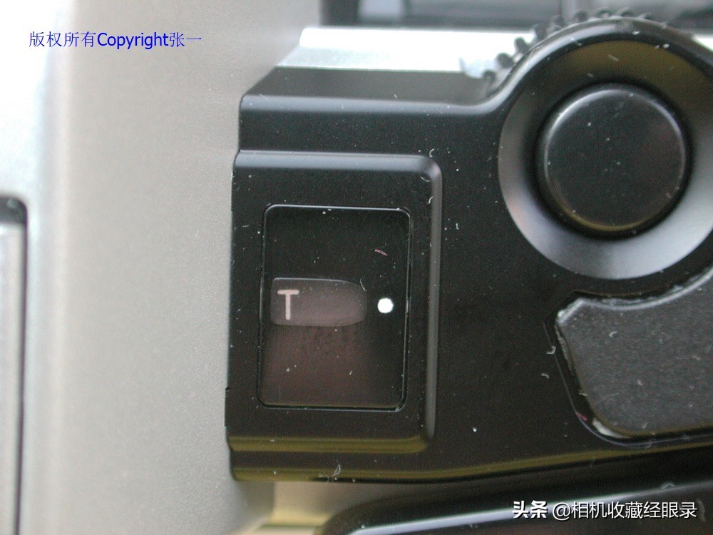 海鸥DF2000,海鸥df-300a仿的什么相机