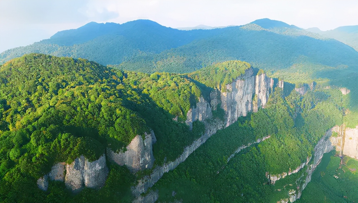 遵义方竹丰收节,2023年中国农民丰收节走进蓬安