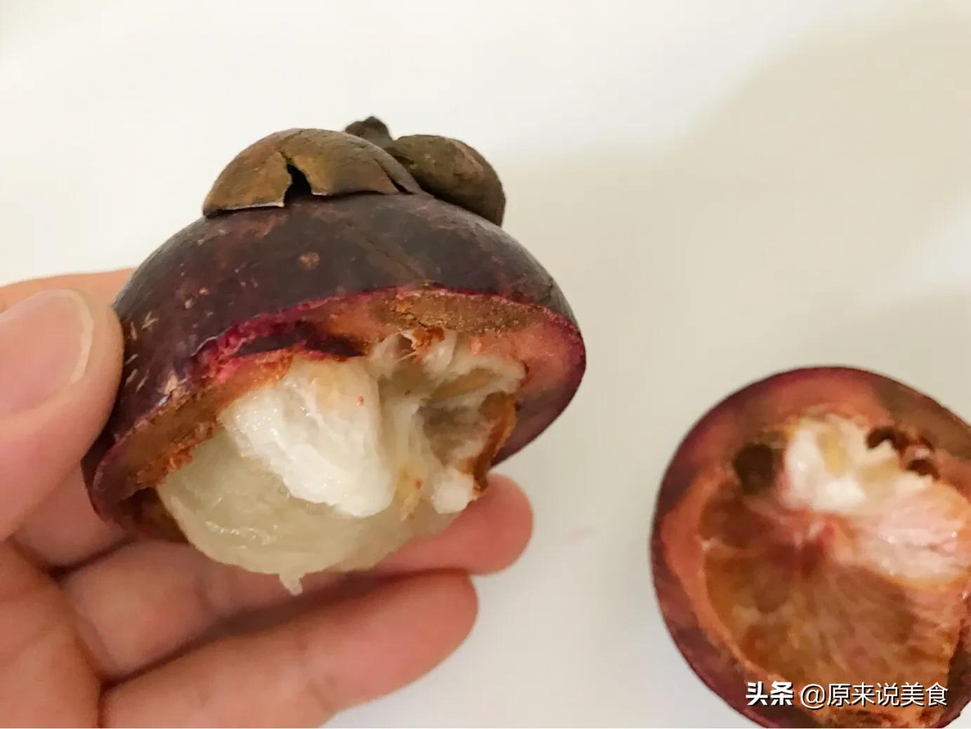 山竹怎么挑选公母不白吃,海南野生山竹树怎么分公母