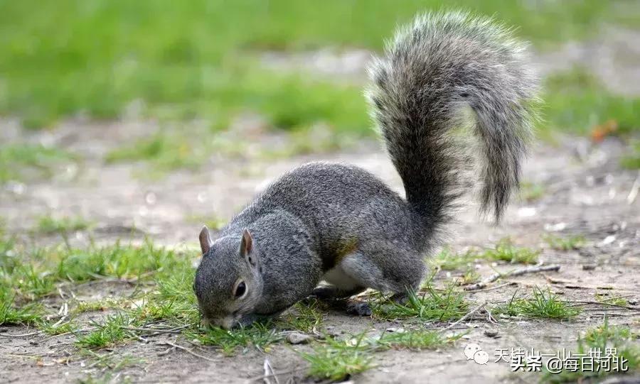 清凉夏日一起游玩,清凉夏日的奇幻邂逅