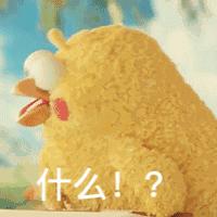 厦门6年级,六年级学生家长注意事项