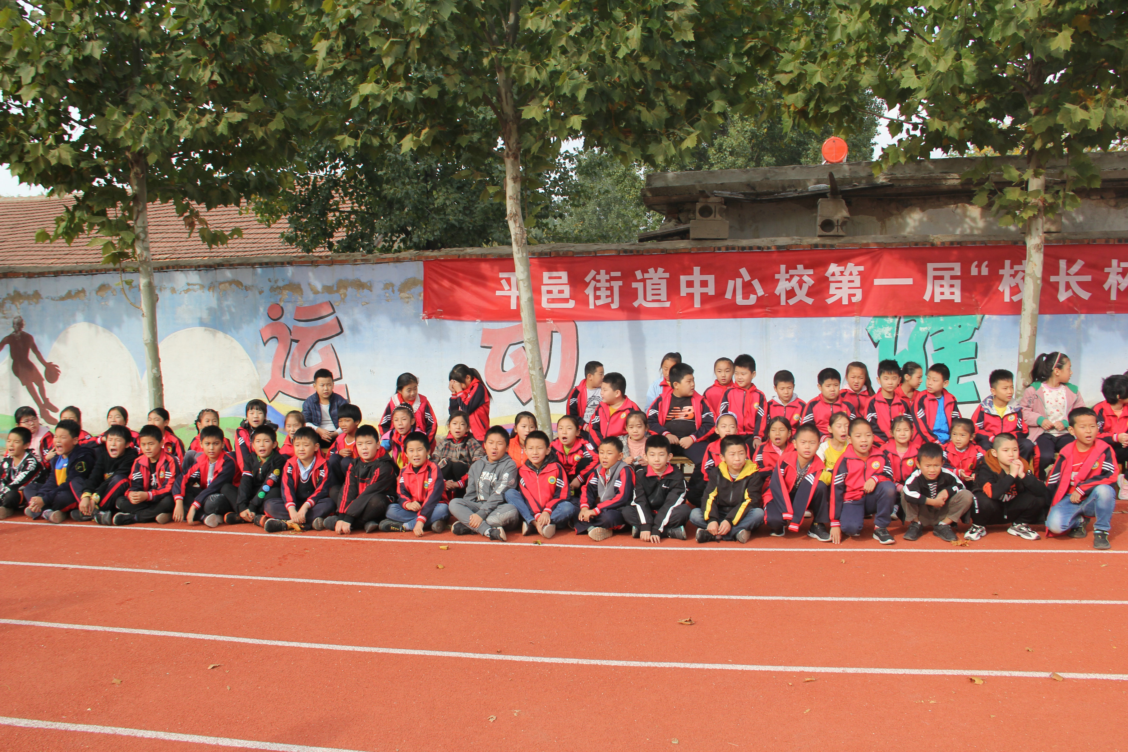 驰骋绿茵场足球争霸,驰骋绿茵场少年梦飞扬