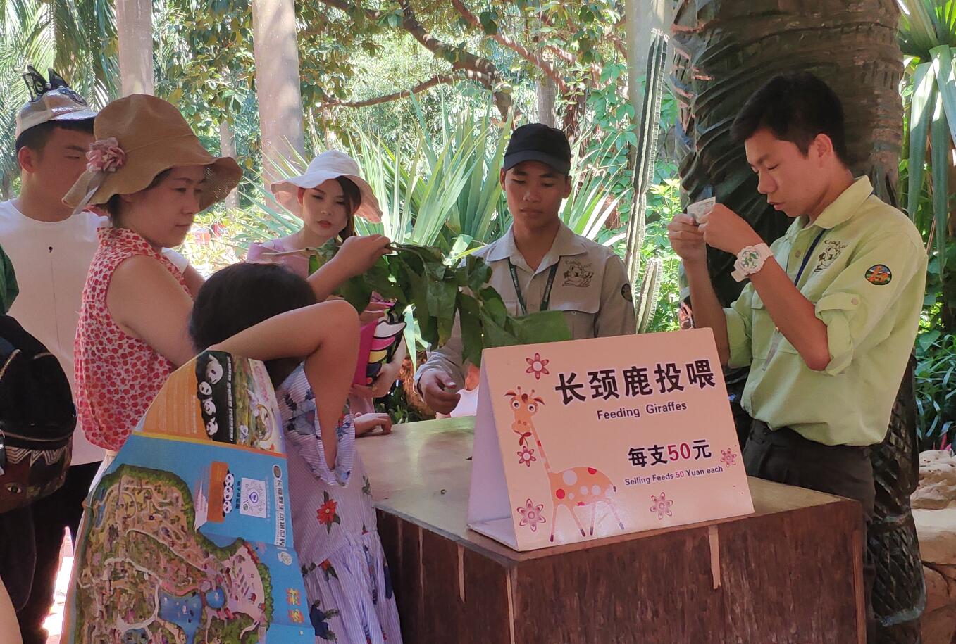 打卡6省最大的野生动物园,打卡各地野生动物园