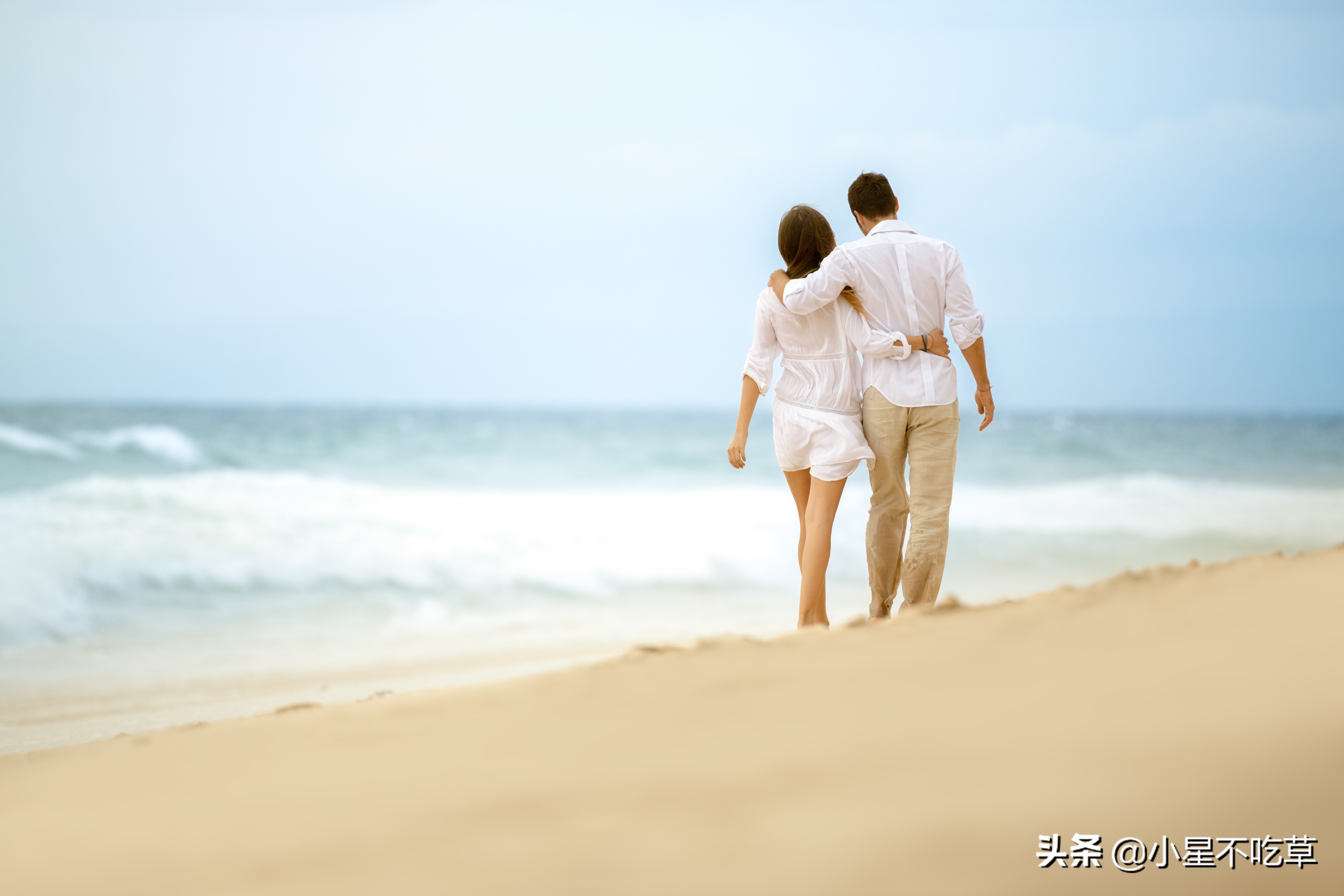 恋爱中忠于感情的星座,恋爱中最专一且深情的星座