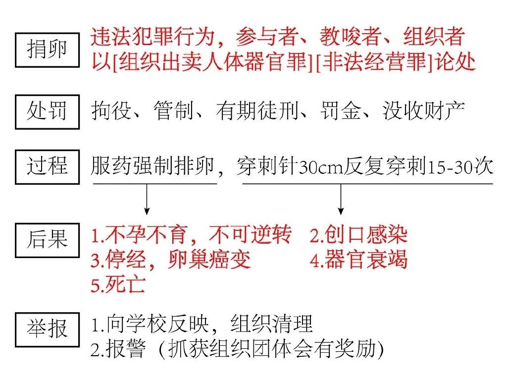 捐卵黑幕被曝光,捐卵骗局科普视频