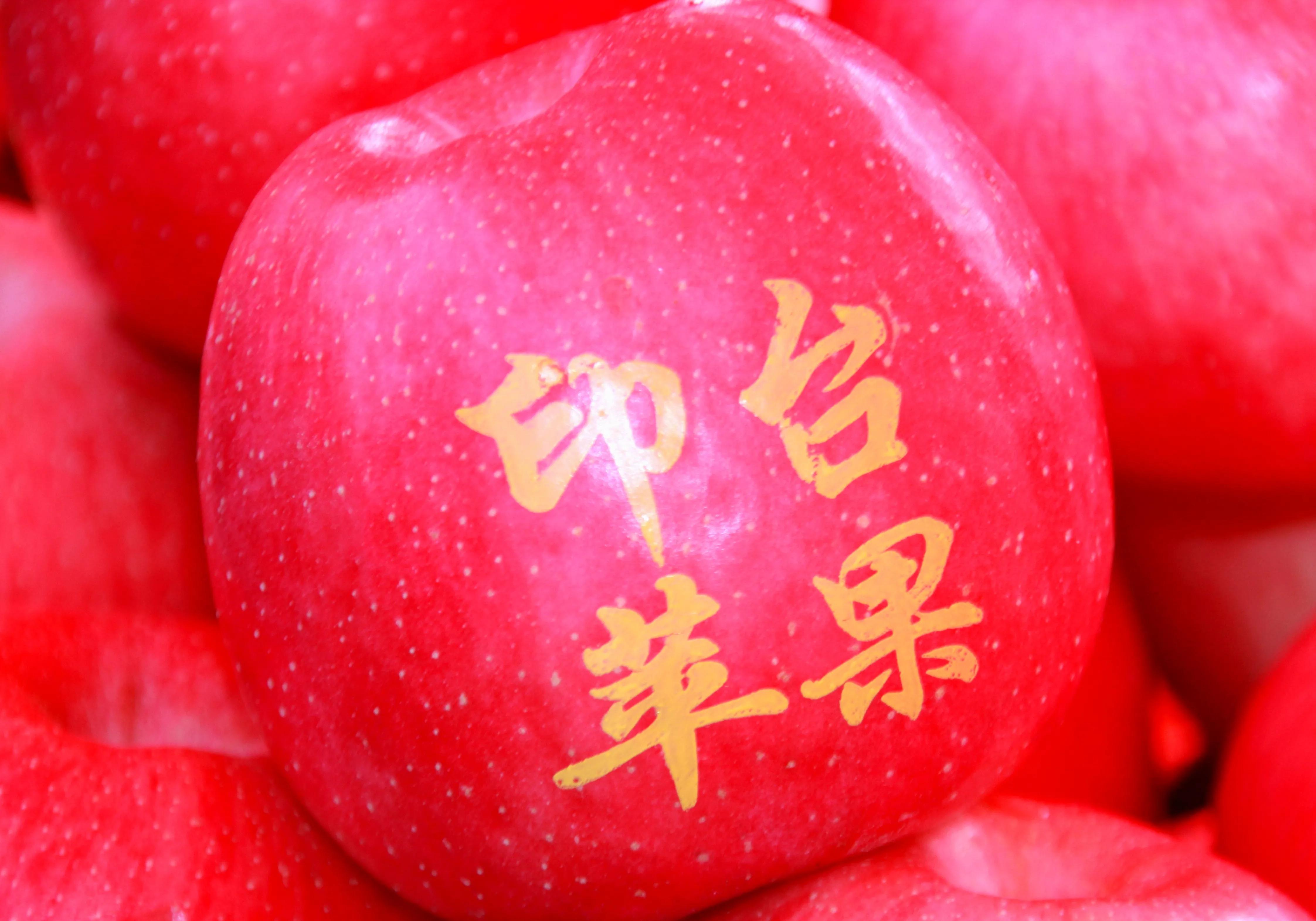 陕西铜川果品,铜川印台镇果业