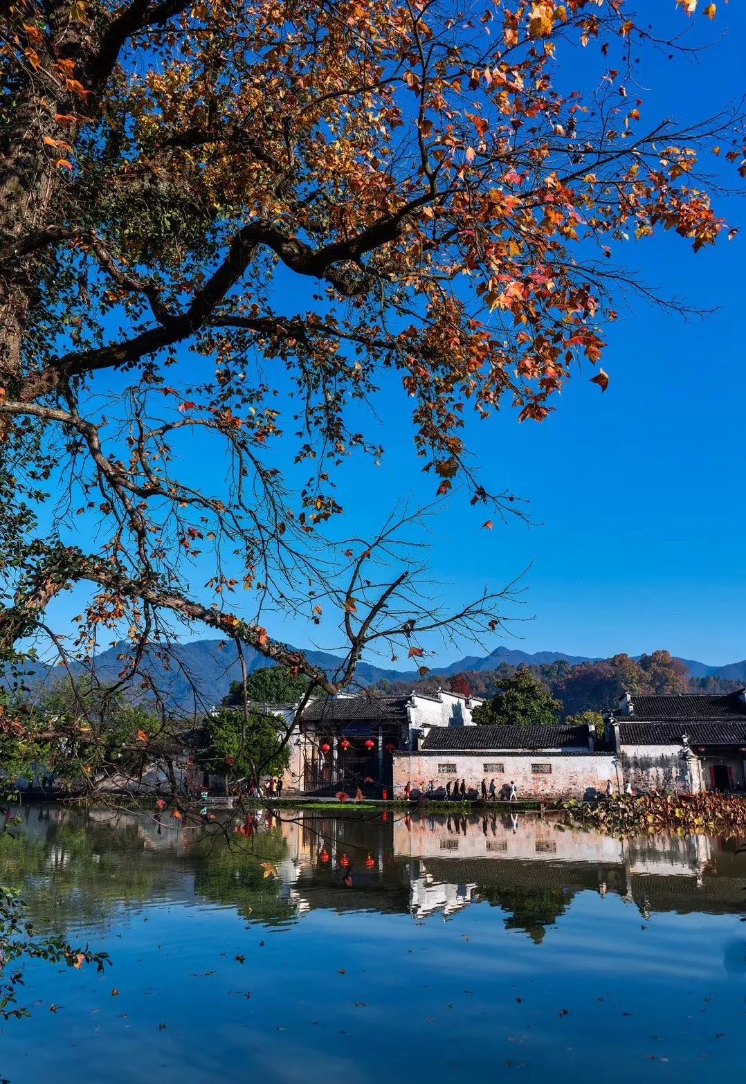 徽州赏秋三日游自驾游攻略,小众徽州赏秋村落