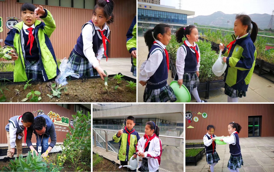 2.5亿建设学校，只为孩子快乐成长--苏州科技城实验小学