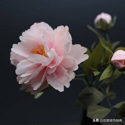 纸能干嘛？在她手上纸能变成活的