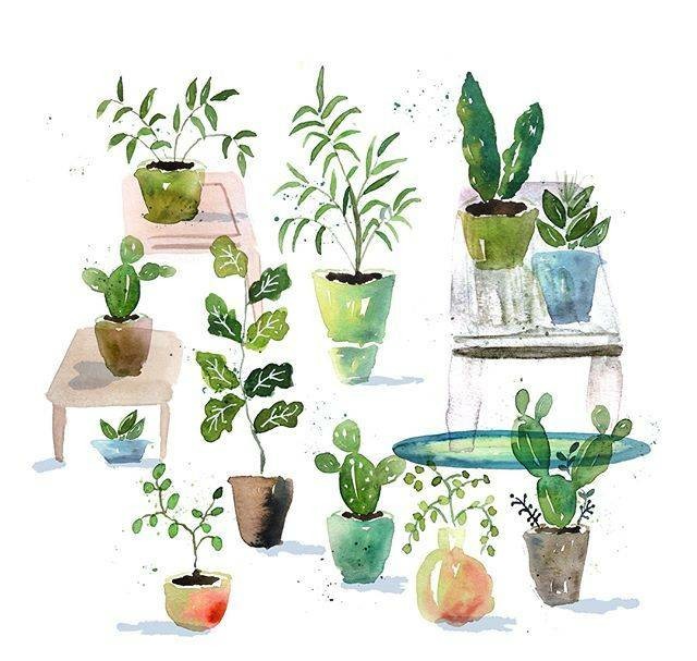 一组小清新的水彩绘画绿植素材,手绘水彩植物手帐