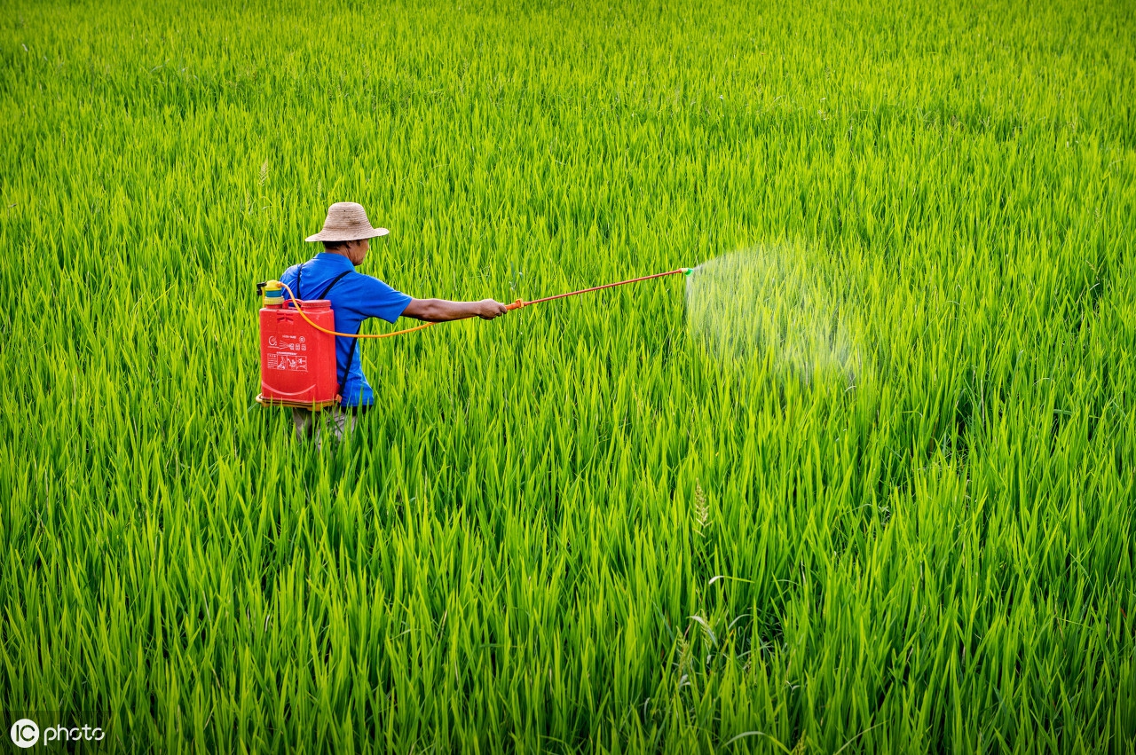 杀菌剂的治疗作用是什么,各种杀菌剂的类型及防治