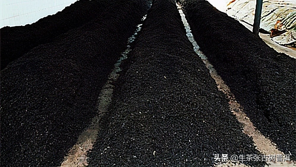 新手选茶6个小技巧,选购茶叶小知识