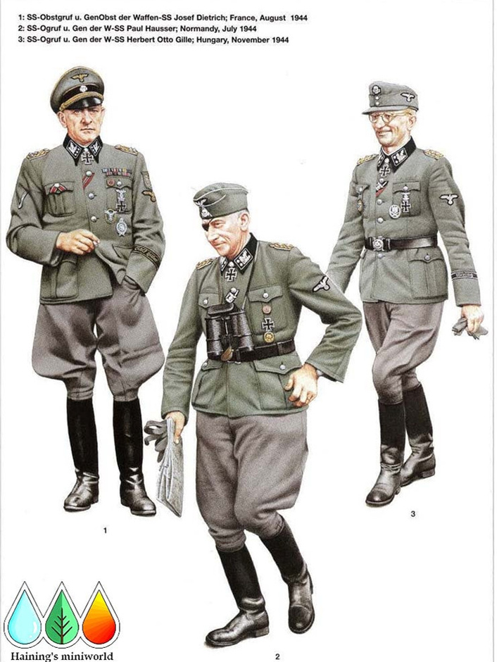 恐怖的骷颅——*党**卫军第三装甲师