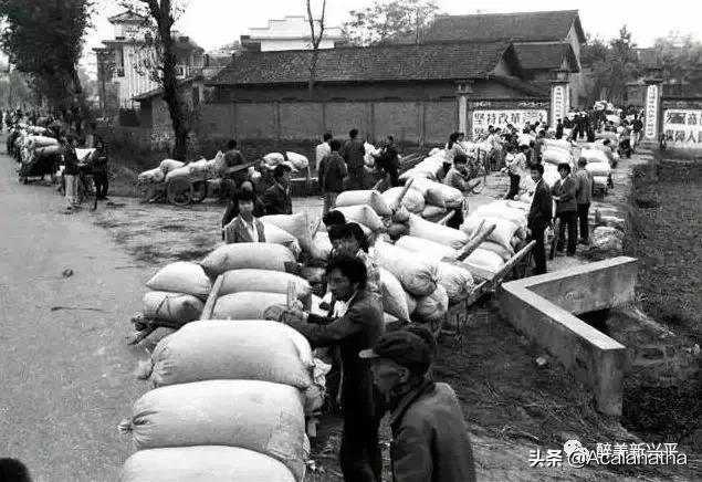 40年前兴平人的夜生活，你知道吗？