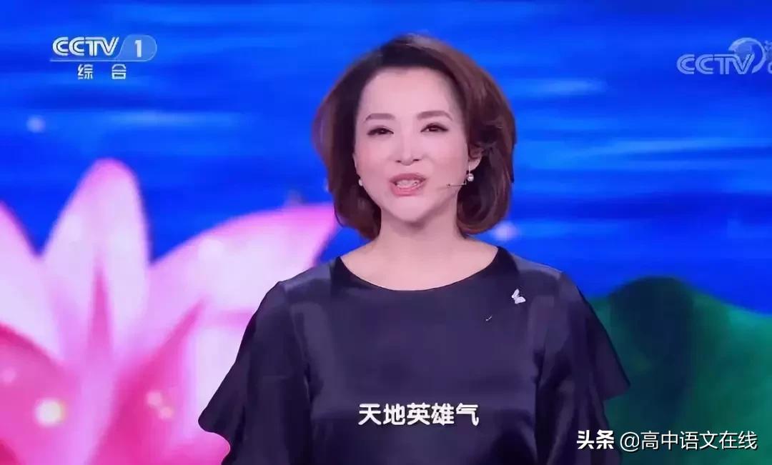 董卿诗词大会开场白集锦视频全集,董卿在中国诗词大会第四季开场白