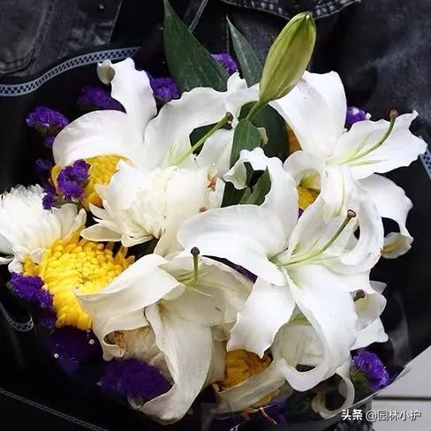 清明寄相思短句,清明寄相思音乐