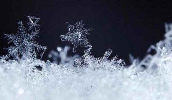 新型冠状病毒经消化道传播吗,新型病毒粪口传播