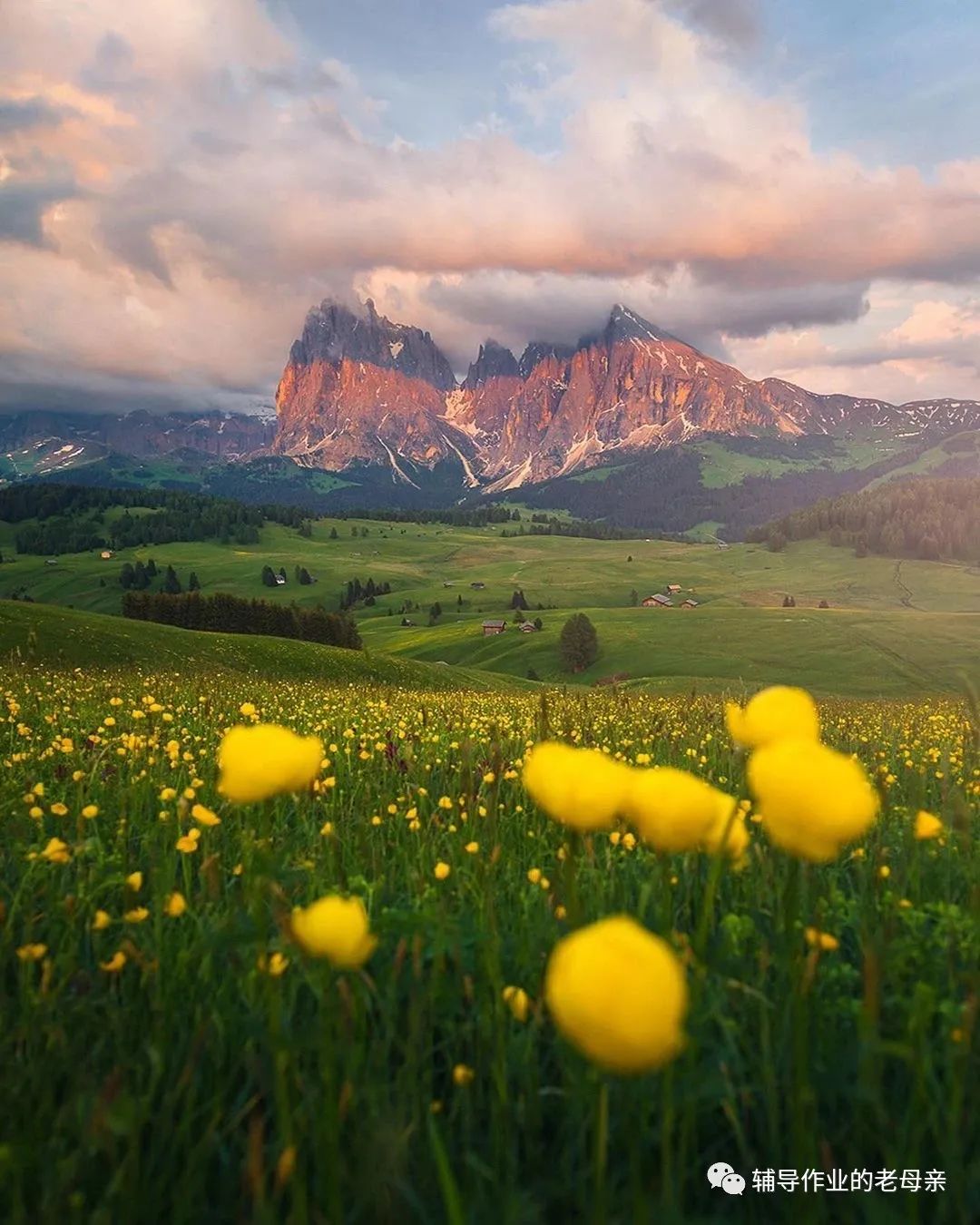 背英文课文,怎么快速背英文课文