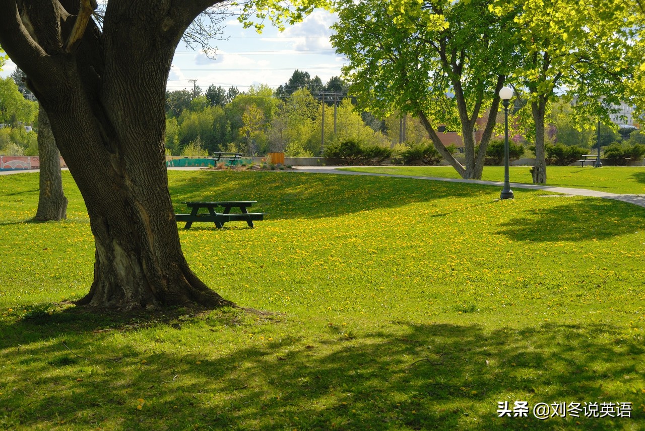 英语高频短语,英语高频短语固定搭配