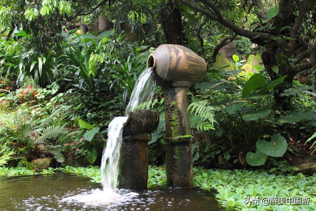 深圳青青世旅游攻略,深圳青青世界详细地址