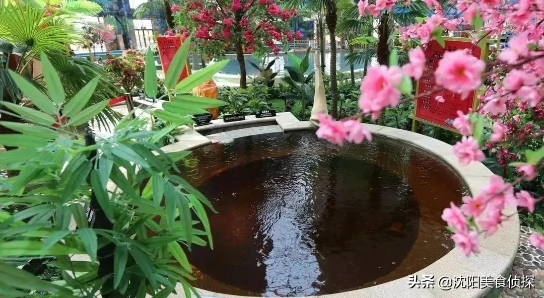 沈阳欧亚菲温泉水乐园,沈阳最大的淘气堡温泉