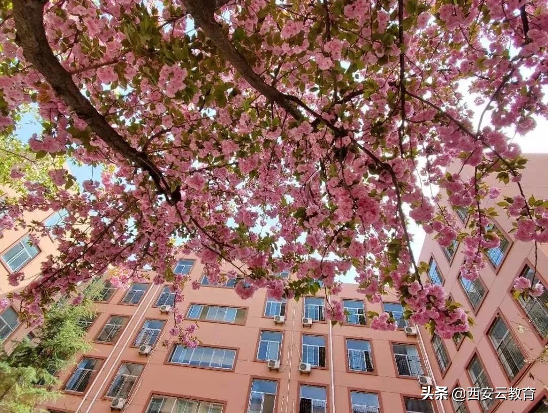 010413选择西科，未来可期西安电子科技中学2020年新高一等你来