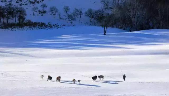 中国最美雪景地方,最适合旅游的雪国