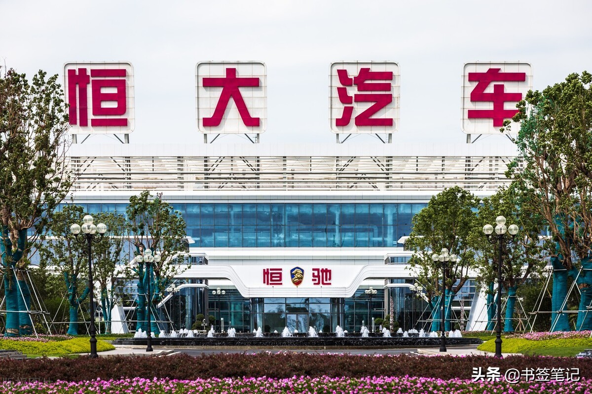 五维解析破百强,五位一体深度解析