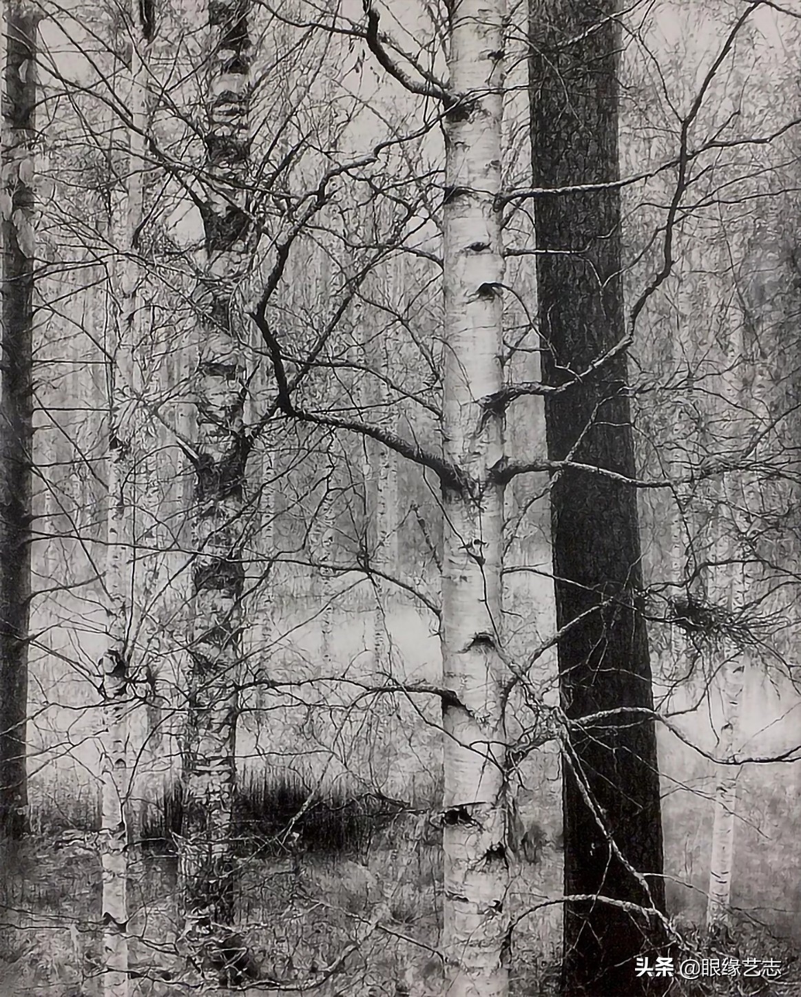 1440个小时的涅槃之画：黎明之树，佐藤裕一郎的心之风景