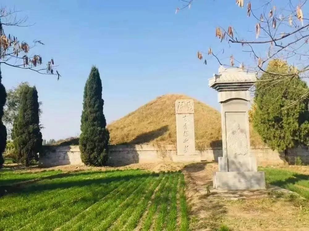 大美在东阿的视频,东阿大美