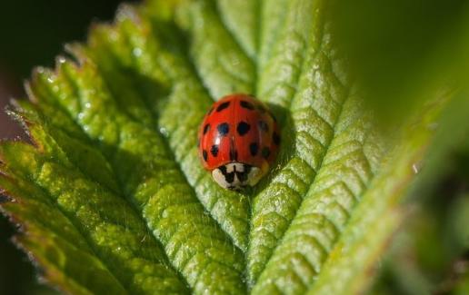 一男子双十一买了没有用的东西,一男子双十一买东西