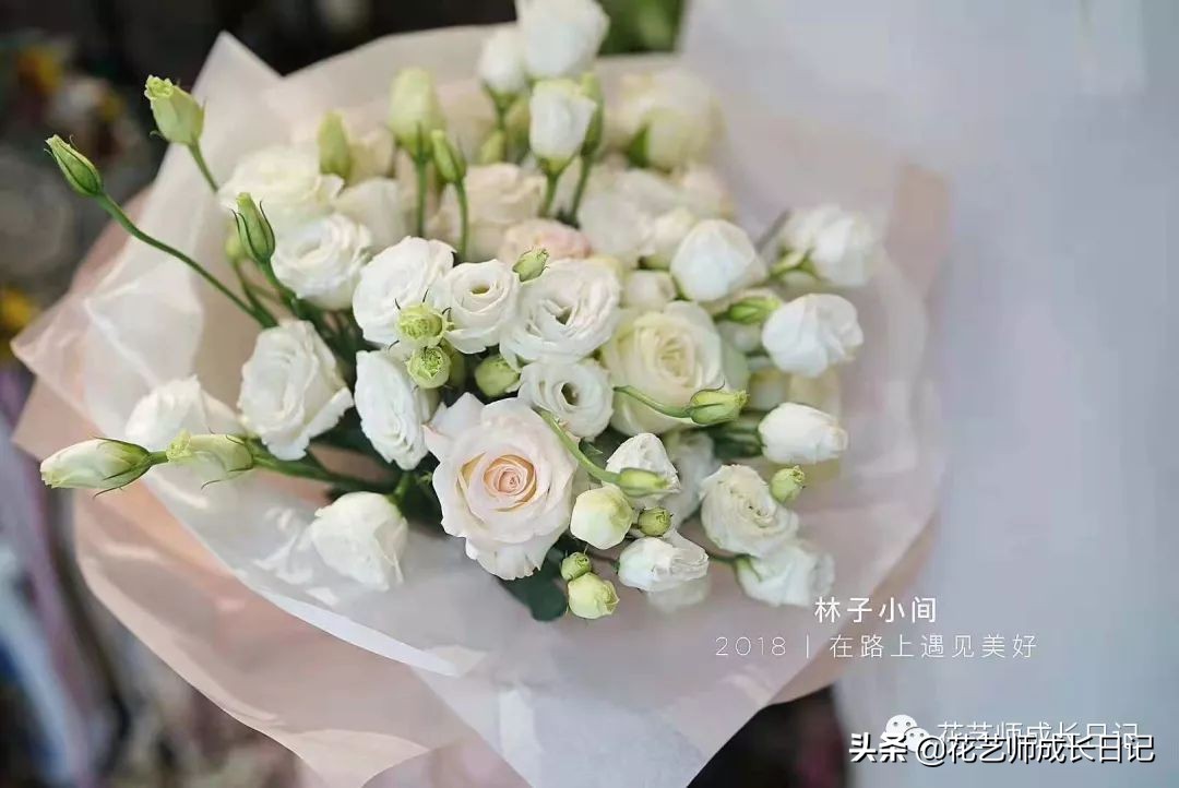 12种浪漫粉色系玫瑰图鉴,10款紫色玫瑰品种介绍