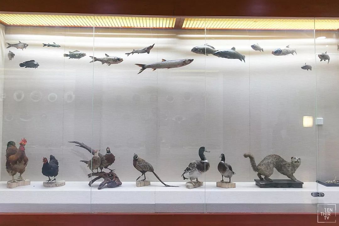 武汉外号,武汉最牛逼的大学