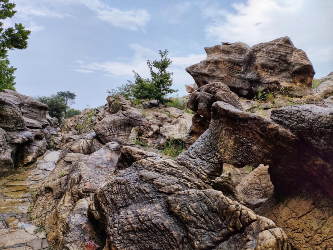 大连金石园奇石名称,大连市金石园