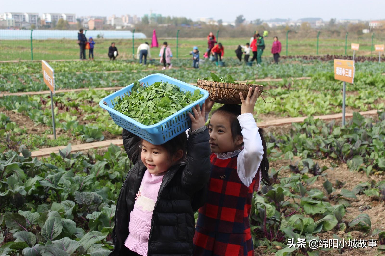 梓潼金太阳幼儿园基地,梓潼县金太阳幼儿园