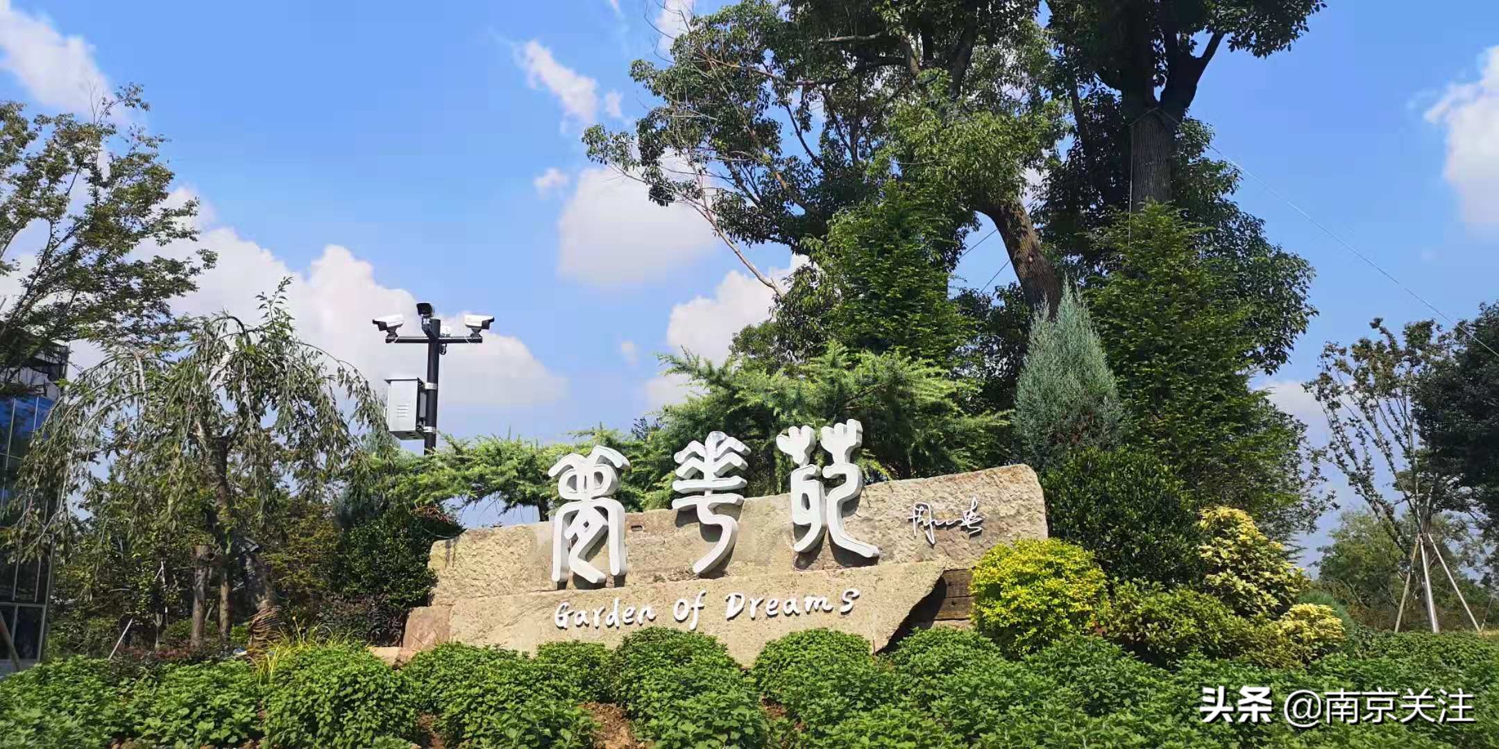 南京五一必打卡花海推荐,南京秋季网红打卡景点