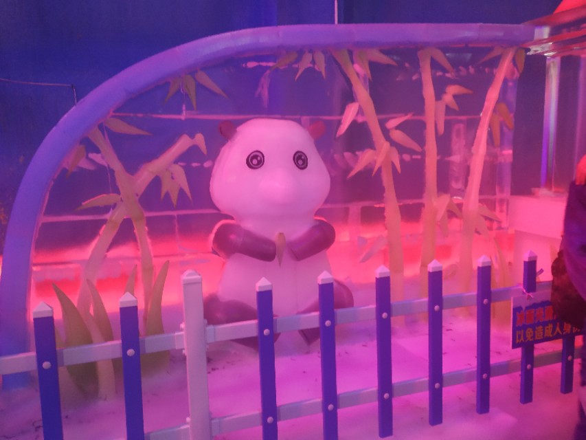 珠海神秘岛两大两小套票,珠海神秘岛乐园