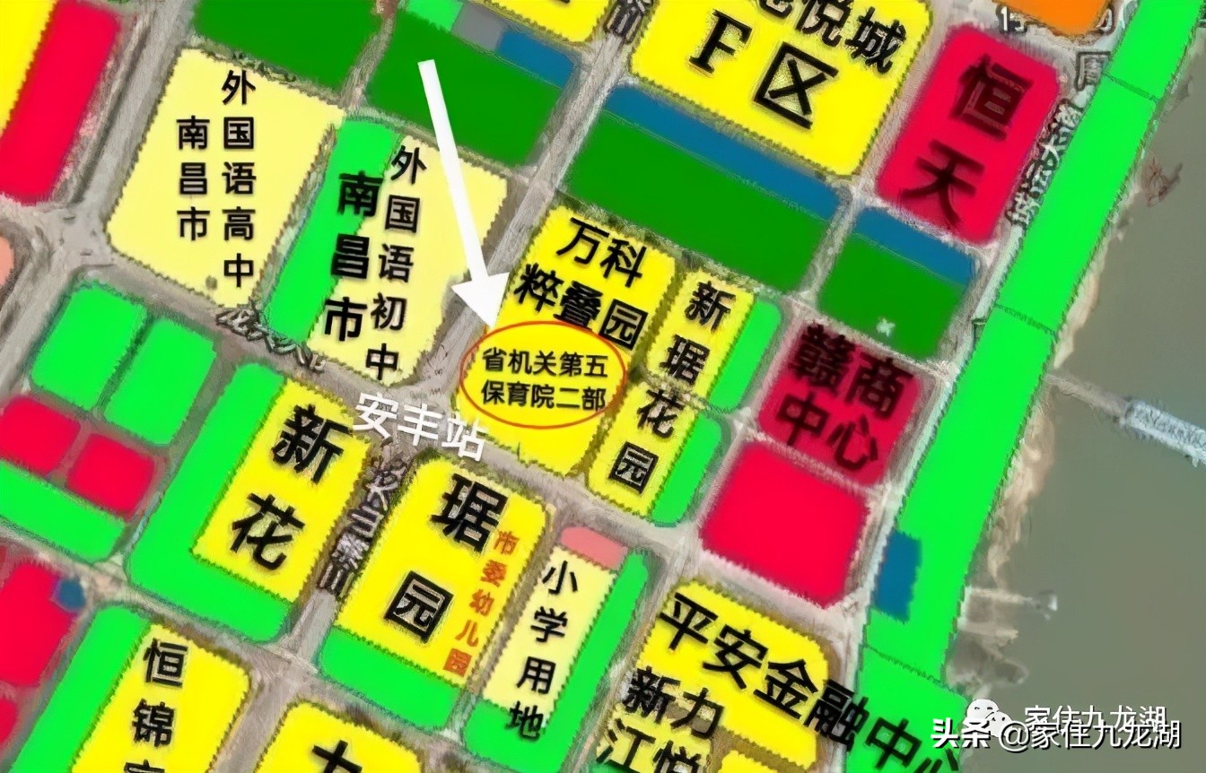 九龙湖有私立幼儿园,九龙湖什么幼儿园最好