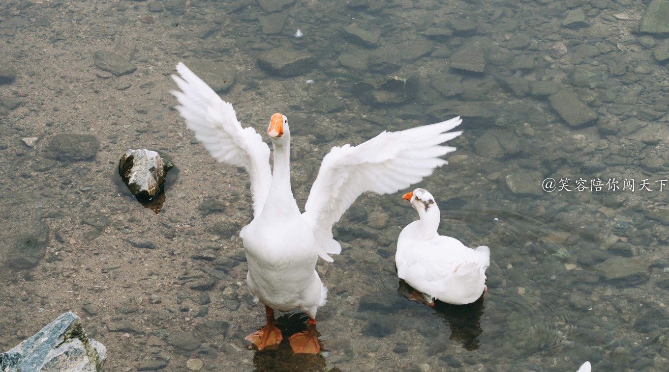 到安徽旅游景点,到安徽六安旅游