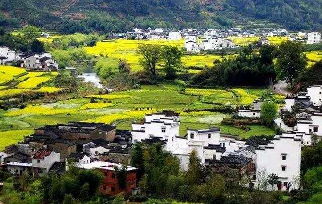 广州周末踏青好去处人少的地方,适合清明踏青的地方广州有哪些