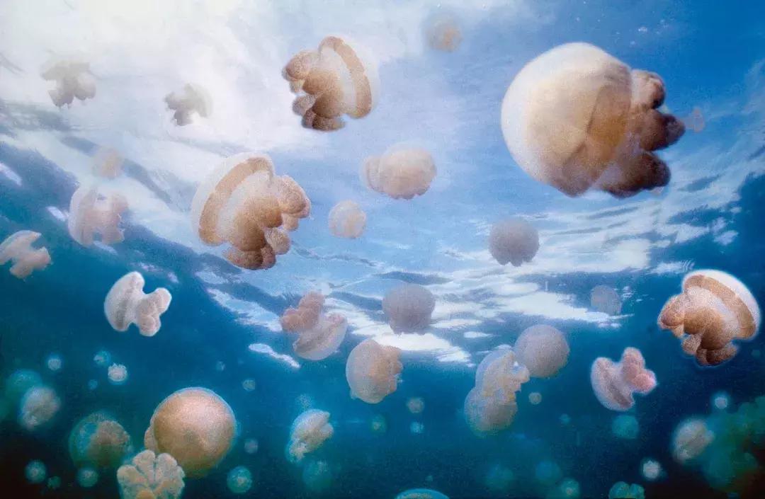 世界公认最美的十个地方列表,世界公认最美的50个地方