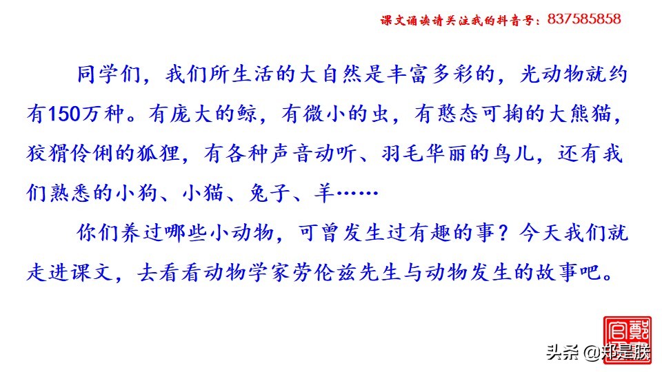 七上人教版第十七课动物笑谈课件,七上语文动物笑谈
