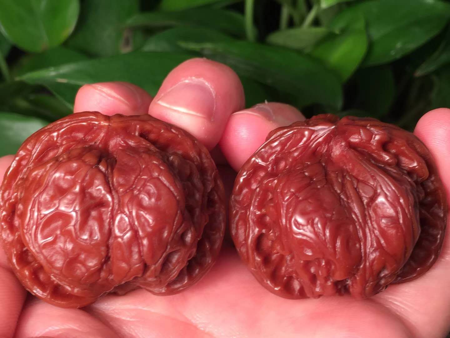 文玩核桃正确盘玩和保养方法,核桃花皮能盘出来吗