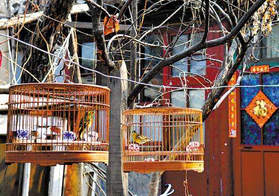 北京城比较有名的胡同,盘点北京胡同