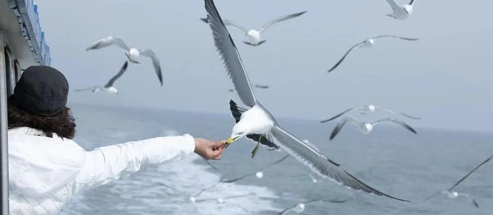 脑转移瘤5个以上的最佳治疗方案,陪妻子抗癌3年后续