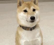 鑵曡〃鏁版嵁鍒嗘瀽,鍏ㄧ悆鑵曡〃鏁版嵁