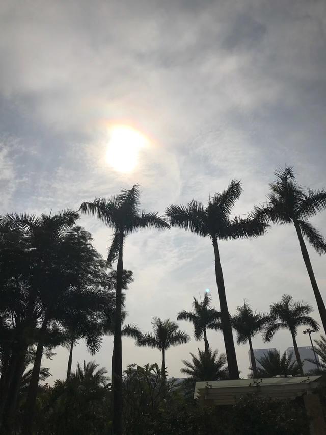 广州香格里拉酒店夏宫,广州香格里拉酒店岗位