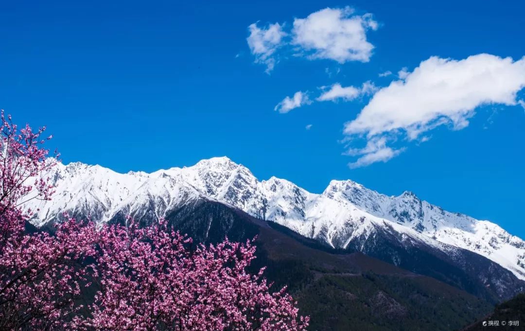 布达拉宫罗布林,布达拉宫罗布林门票