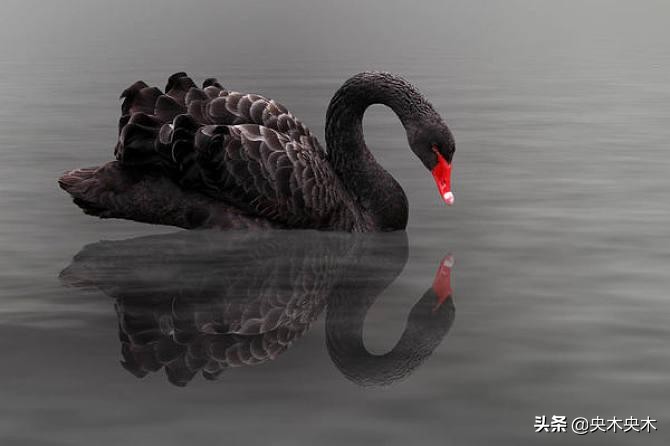 当你做了很多能预判的预判,我预判了你预判我的预判英语翻译