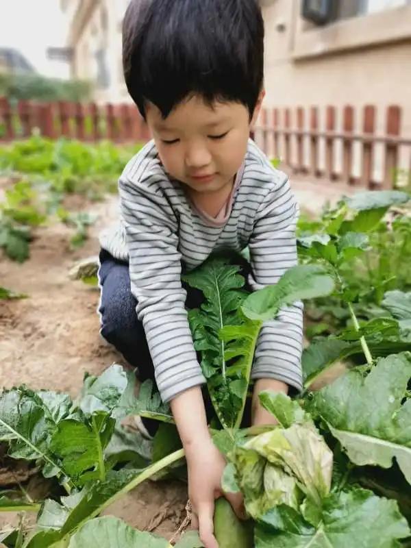 高新区汇爱国际幼稚园,高新区汇爱幼稚园的日常生活